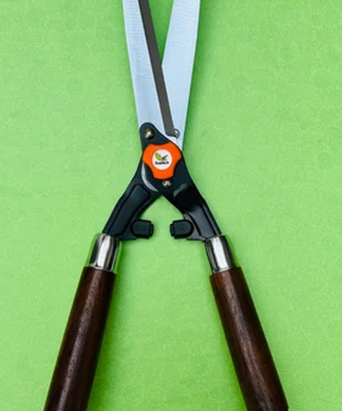 Hedge Shear Wooden Handle 10 Inch Eco333